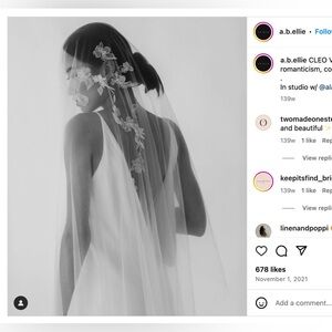 A.B. Ellie Cleo Veil - drop 115” cathedral length